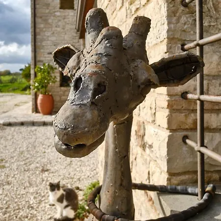Monolocale Di Campagna - Lepietrebnb Σαλέ *